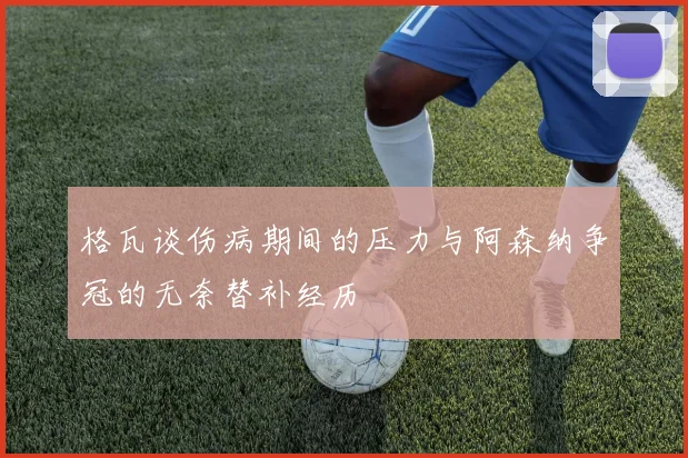 格瓦谈伤病期间的压力与阿森纳争冠的无奈替补经历