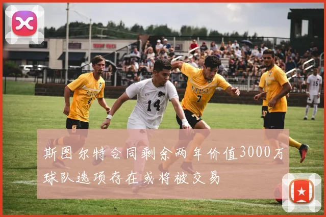 斯图尔特合同剩余两年价值3000万球队选项存在或将被交易