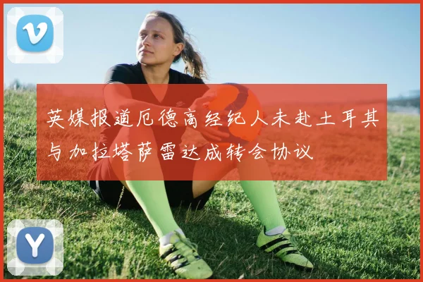 英媒报道厄德高经纪人未赴土耳其与加拉塔萨雷达成转会协议
