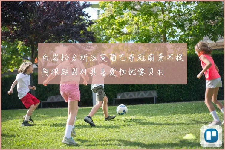 白岩松分析法英葡巴夺冠前景不提阿根廷因对其喜爱担忧像贝利
